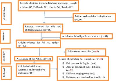 Patterns of help-seeking behavior among people with mental illness in Ethiopia: a systematic review and meta-analysis